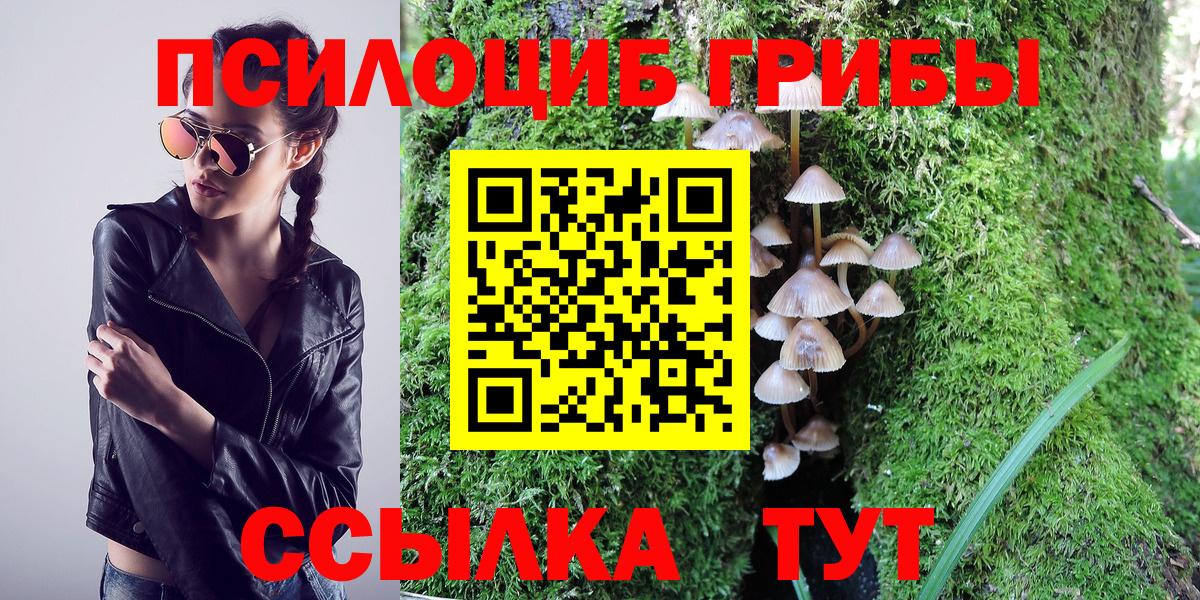 Волжский  наркотики  Вход с VPN  Галлюциногенные грибы мицелий 