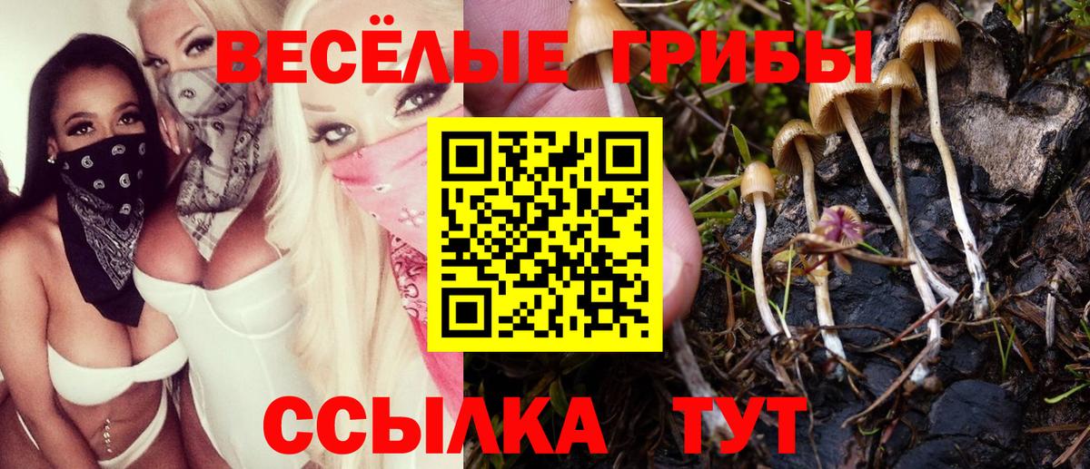Галлюциногенные грибы GOLDEN TEACHER Волжский